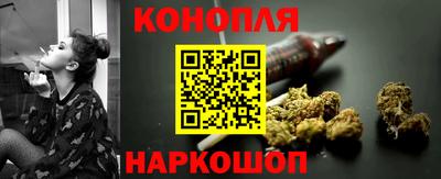 Альфа ПВП Обь