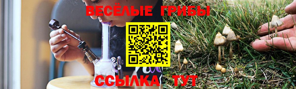 Псилоцибиновые грибы Psilocybe  Вход с VPN  Саянск  Галлюциногенные грибы Psilocybe 